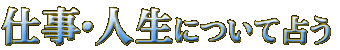 仕事・人生について占う